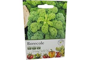 PRETTY WILD SEEDS Borecole Curly Kale Seeds in Pictorial Packet from a UK Seller Popular Supply of Winter Greens with Good Tolerance of Low Temperatures