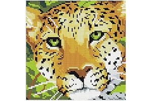 GMMH Diamond Vollbedeckung mit Holzrahmen Painting Set Bild 20 x 20 Diamant Malerei Stickerei Handarbeit Basteln Mosaik Steine Blumen Korb Haus am Bach (BZ574)