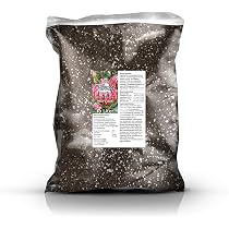 GREEN24 Protea Dnger 250 ml  phosphatfreier NK-Flssigdnger fr Protea &  Banksia, hochkonzentriert, fr Blatt- & Wurzeldngung, einfache Dosierung :  Amazon.de: Garten