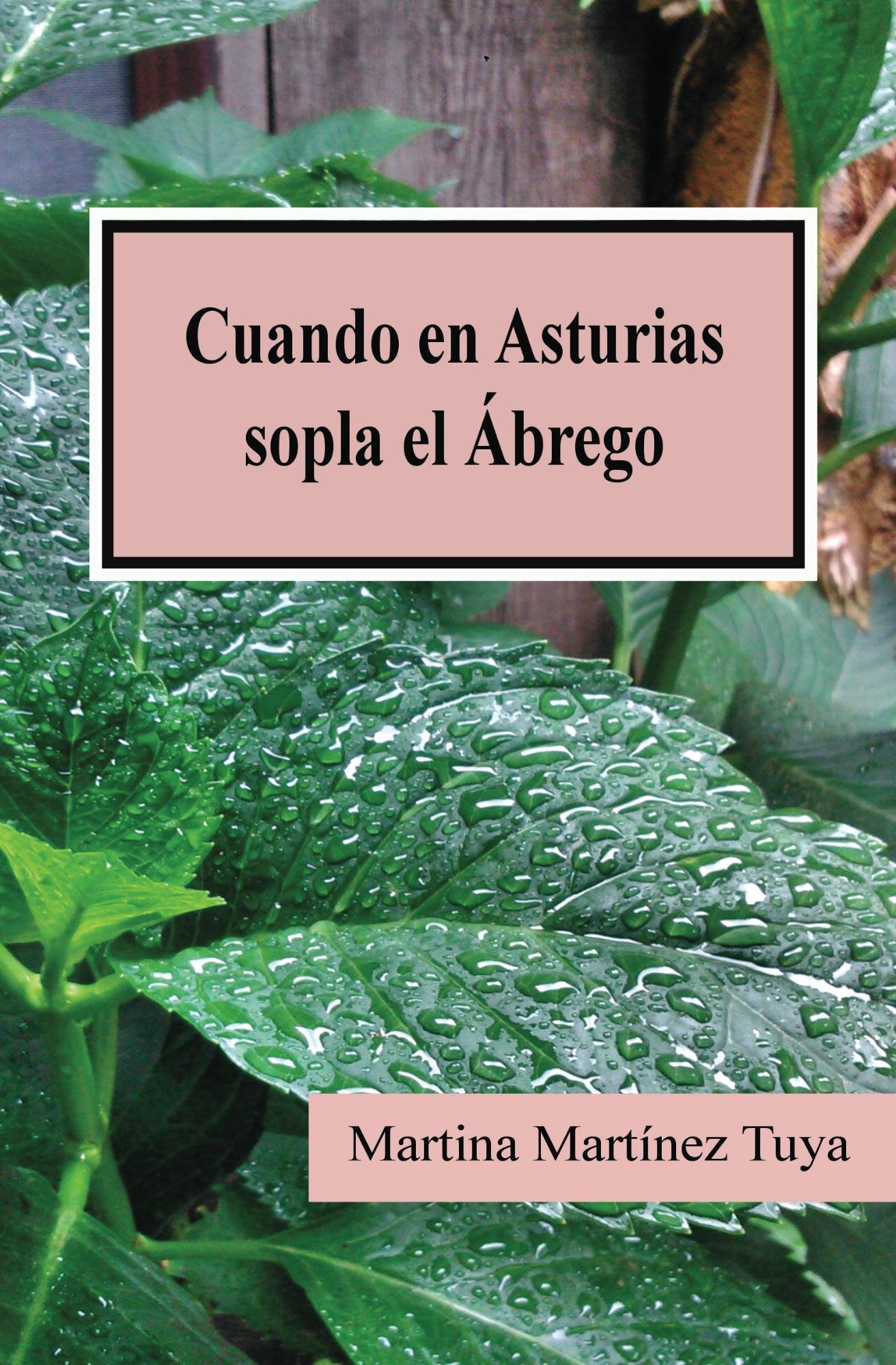 Cuando-en-Asturias-sopla-el-brego