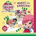 Meet the Berries! (Strawberry Shortcake)