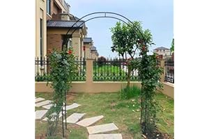 LYAH Metall Rosenbogen Torbogen Rankgitter Breite 120cm 140cm 160cm 180cm 200cm 240cm 280cm 300cm 350cm Großer Gartenbogen Für Kletterpflanzen, Freistehend Rosengestell Hochzeitsbogen ( Size : 160x220CM/5.