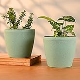 Eha Set of 2 Earth-Friendly Deco 7" Self-Watering pots and Planters | Bamboo Based | UV Protected | for Indoor, Home Decor, O