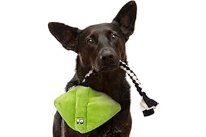 FAVPET Juguete de Peluche para Perros Pez Raya, Juguete Chirriante para Perros Grandes, Juguete Chirriante para Perros Pequeños de Peluche, Divertido Juguete para Cachorros de Peluche (Verde)