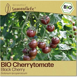 Cherry Tomato Bajaja Seeds - Solanum lycopersicum - Tomato Seeds Cherry Tomatoes Balcony Tomatoes - Flower Seeds - Seeds for 15 Plants - View 7