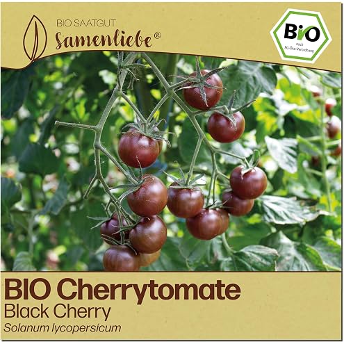 Cherry Tomato Bajaja Seeds - Solanum lycopersicum - Tomato Seeds Cherry Tomatoes Balcony Tomatoes - Flower Seeds - Seeds for 15 Plants - View 8