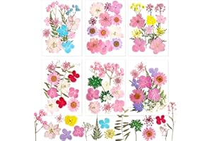 DBUWQIPS Fiori Secchi per Resina Fiori Secchi per Candele Fiori Secchi Pressati Fiori Secchi Decorativi Fiori Essiccati Decorativi Fiori Pressati Secchi per DIY Unghie Candele Decorazioni Scrapbooking