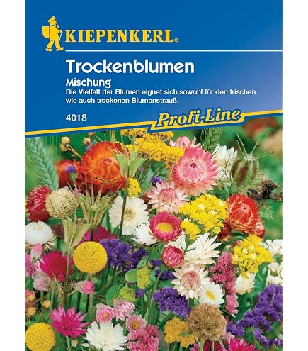 Trockenblumen Samen-Mix fr viele Blumen zum trocken. 20gr Saatgut fr  eigene Trockenblumen, viele Sorten enthalten : Amazon.de: Garten