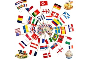 WiDream 100 st världens tandpetare flagga, tandpetare flaggor från olika länder, Double Face Europa dekorativa tandpetare för