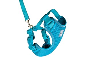 RC Pet Products Adventure Kitty Harness, Cat Walking Harness, Small, Teal (53803015)