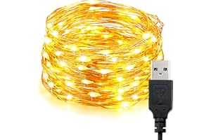 EvaStary USB LED stringa luce, 10M 100LED rame filo stringa luci, camera da letto impermeabile catena decorativa luce per fai da te Natale, giardino, festa, decorazione matrimoniale, bianco caldo