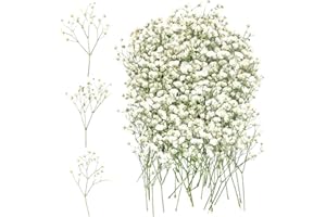 CUINIUNAID 100 Stück Getrocknete Blumen Schleierkraut Getrocknet Trockenblumen Klein Baby's Breath Blumen Echte Natur Gepresste Blumen Weiß Schleierkraut für DIY Kerze Harz Schmuck Nagel Kunst Basteln