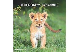 ‎ALPHA EDITION Tierbabys 2024 - Broschürenkalender 30x30 cm (30x60 geöffnet) - Kalender mit Platz für Notizen - Baby Animals - Bildkalender - Wandplaner - Alpha Edition