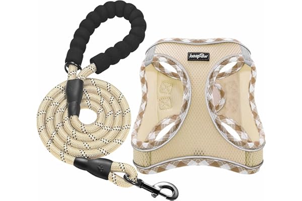 haapaw Ensemble harnais et laisse pour chien - Harnais réglable et réfléchissant avec gilet rembourré épais pour chiens de taille XS et moyenne