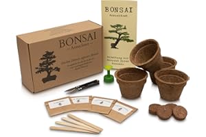 ANISTA-INDUSTRIES ANISTA - Bonsai Anzuchtset - Züchte Deine eigenen Bonsaibäume. 4 Sorten Bonsai Samen in unserem kompletten Pflanzset. Schöne Geschenkidee zu allen Anlässen.