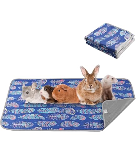 Tappetini Assorbenti Per Piccoli Animali - 10 Pezzi Lavabili, Impermeabili, 35x75cm