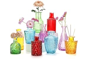Coloch Set of 10 Colored Bud Vases, Assorted Small Glass Flower Vases Vintage Carved Floral Vase Single Bud Vase in Bulk for Centerpieces, Parties, Wedding Decoration, Office, Home