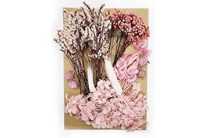 OWOAOOWL Natürliche Getrocknete Blumen,Trockenblumen Set,DIY Gepresste Blumen,Echte Getrocknete Gepresste Blumen,Trockenblumen Resin,Getrocknete Blumen für Kunst DIY Harz Scrapbooking Handwerk Karten Machen