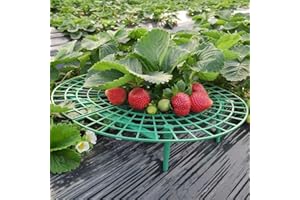 CNNIK 10 Stück Erdbeeren Schutz Erdbeerreifer Schneckenschutz Erdbeerstützen für Gartenzubehör Erdbeergitter Rund