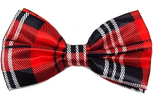 BB Accessories - Papillon - Uomo