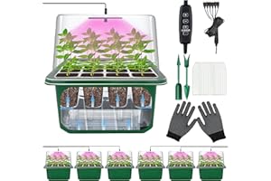 VEEKAY 6 Pièces Auto-arrosant Mini Serre pour Plantes kit,Kit de Culture Serre avec LED luminosité réglable,avec Coussin Absorbant,Température et humidité réglables,avec kit D'outils De Plantation