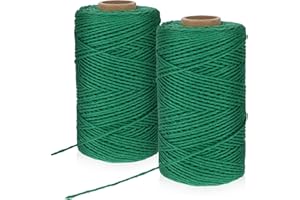 STYQUENZER 2 rolki ogrodowego sznurka, 100 m, zielony naturalny sznurek do wiązania roślina, odporny na rozerwanie, do kwiatów, majsterkowania, prac ogrodowych, prezentów