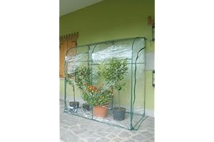 Verdemax 2644 - Serra da Parete Oleander