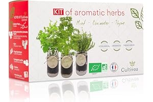 Cultivea® Kit Completo de Hierbas - Cultiva Tus propias Hierbas aromáticas - 100% ecológicas: Semillas orgánicas - Decora tu hogar con un huerto Urbano. (Menta, Cilantro, Tomillo)