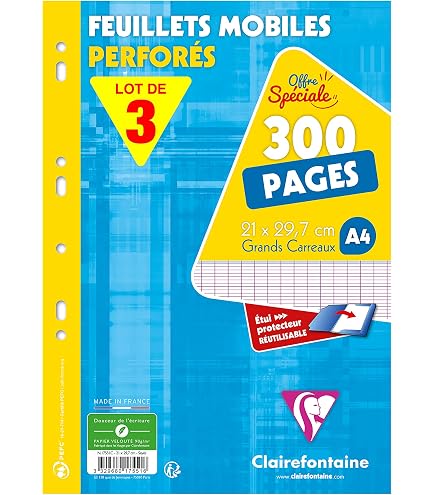 Copies Doubles Clairefontaine - Étui 300 Pages A4 Grands Carreaux - Papier 90 G - Perforé - Fabriqué En France