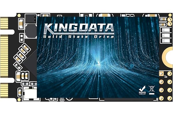 KINGDATA Disque SSD M.2 2242 256Go Ngff Interne Disque Dur 1To 500go 250go 120go pour Ordinateur Portable SATA III 6Gb / s Le Bureau Haute Performance (256Go,M.2 2242)