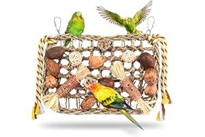 onebarleycorn Jouets pour Oiseaux, Jouet Perroquet, Jouet Perroquet Gris du Gabon Mural Suspendu Naturel Jeux pour