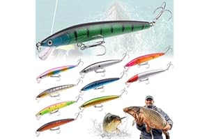 LIEKADIJIAE 10 Stück Wobbler Kunstköder Set, Hecht Angelköder, Forellen Köder, Minnow Crankbait, fürs Angeln auf Barsch Zander Hecht, flachlaufend