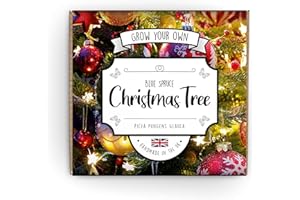THE LOVELY STUFF COMPANY Grow Your Own Christmas Tree Kit | Suitable For Everyone From Kids to Gardening Pros | Guaranteed To Grow Or We'll Replace Your Seeds | Hand Made In The UK