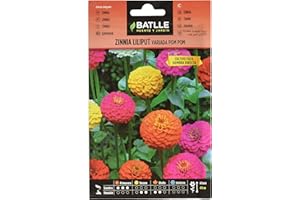 Semillas Batlle Zinnia LILIPUT variada (Pom Pom)