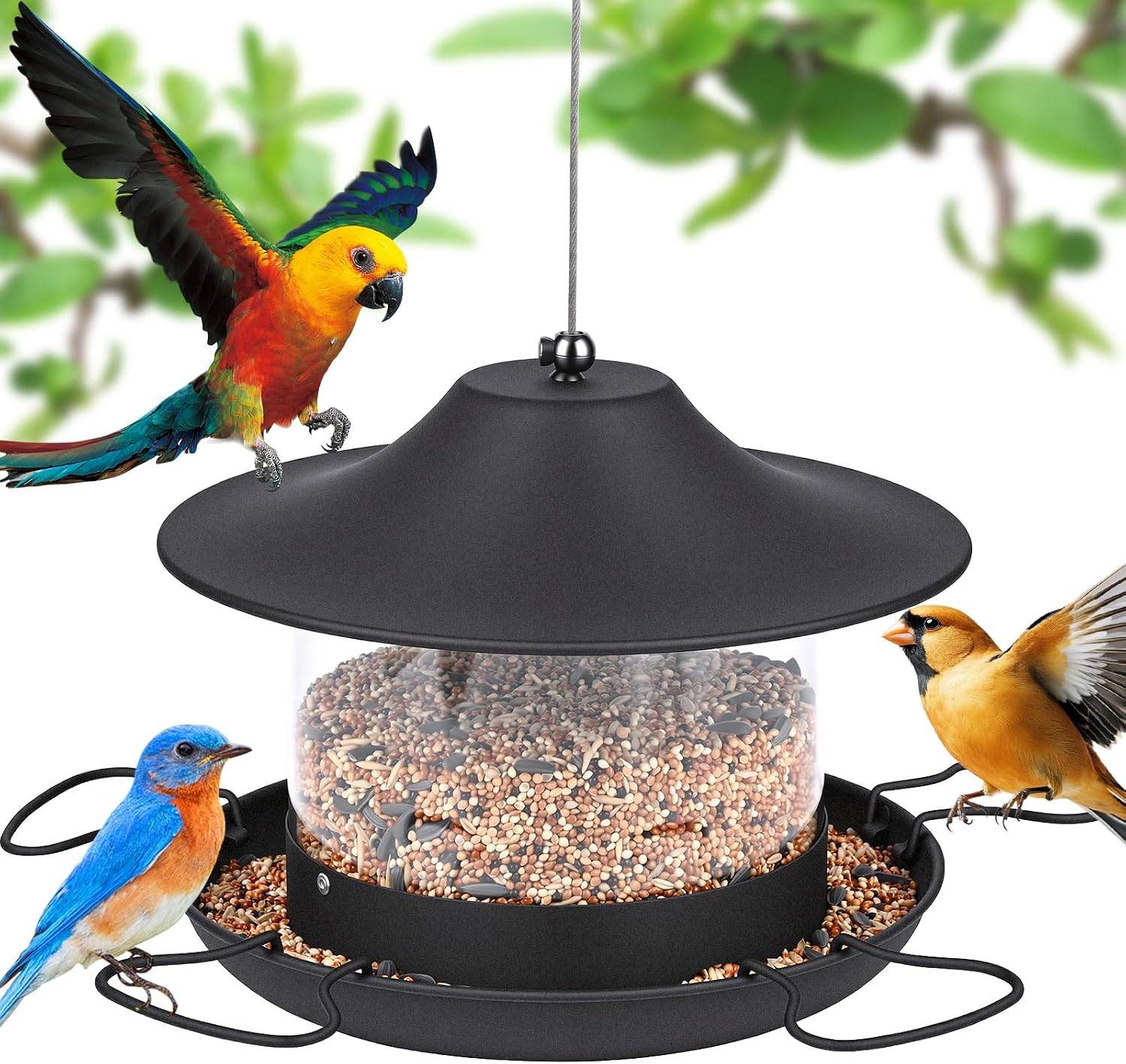 Glovios Comedero Colgante para Pájaros,Comedero Pajaros Exterior 1.8L,Comederos para Pajaros, Comedero Pajaros,Garden,Balcón y jardín, Educación al Aire Libre, Pico, Alimentación de Aves,Negro