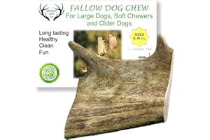 ARTISAN GIFT CO Fallow Antler Chews for Small Dogs and Puppies – 100% Natural Deer Antler Treats (L - 1 Unit)