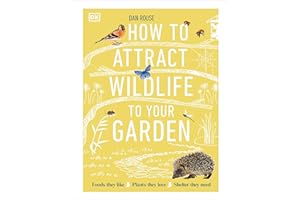 How to Attract Wildlife to Your Garden: Foods They Like, Plants They Love, Shelter They Need