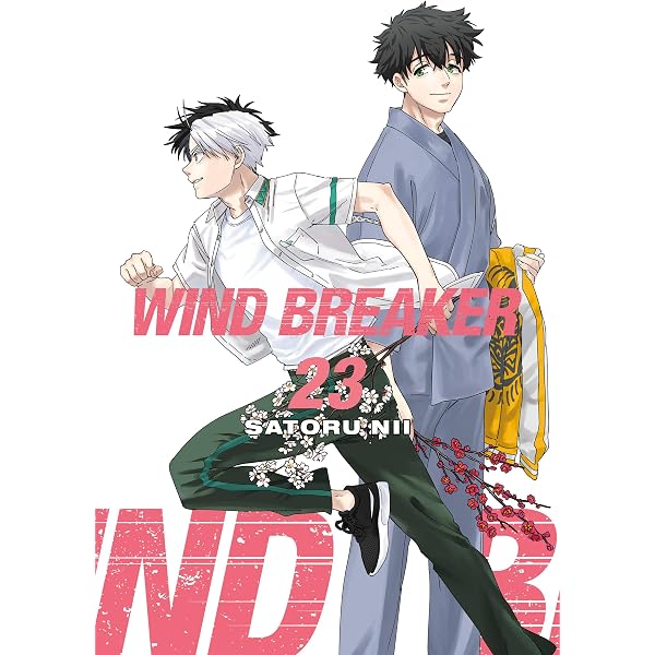 WIND BREAKER 21 : Nii, Satoru: Amazon.in: Books