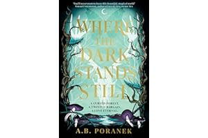 Where the Dark Stands Still: A sweeping, gothic YA fairytale romance
