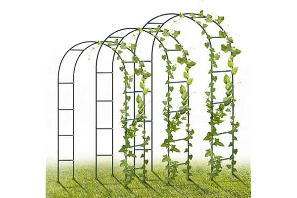 YAOBLUESEA Arche de Jardin Metal, 3 pièces 240 x 140 x 38cm décoration d'arche de Jardin avec Plantes, Fleurs et Ballon pour Les Anniversaires, Mariages et soirées romantiques (Vert)