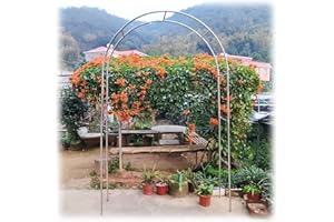 DHGVCED Gartenbogen Aus Edelstahl Rosenbogen Aus Metall Garten Torbogen Rankgitter Rosenhilfe Wetterbeständig Rankhilfe Spalier(Size:150 * 240cm(59 * 94in))