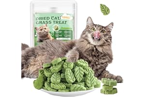 PUPPBUDD 100g Herbe à Chat, Friandises pour Chats Lyophilisé de Nettoyeur de Dents, Comestible Collations pour Chats, Cat Grass Snacks
