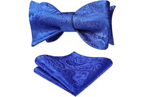 HISDERN Papillon da Uomo Floreale Paisley e Tasca Quadrata, Cravatta a Farfalla e Set di Accessori per Fazzoletti per Feste di Matrimonio