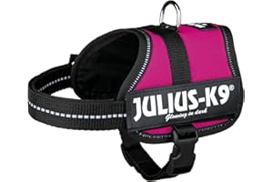 JULIUS K-9 Harnais K9 Power, Taille: M/0, Rose fuchsia