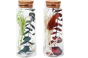 ‎HEITMANN DECO HEITMANN DECO Trockenblumen in Flasche, grün/braun, 5x5x12 cm