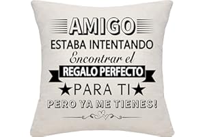 BOMMEX Divertido Mejor Amigo Fundas de Cojín para Hombres Niños Mejor Amigo Cumpleaños Navidad Regalo BFF Regalo Amistad(Amigo)