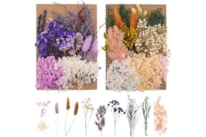QINREN 2 Packs Real Natural Dried Flowers, Mixed Dried Pressed Flowers and Leaves Set Artificial Everlasting Flowers for DIY Arts Resin Scrapbooking Jewelry Making Floral Decorations