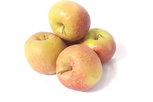 ‎LAMERA Äpfel Boskoop Boskop vom Bodensee säuerlicher Apfel 1-10 KG (5)