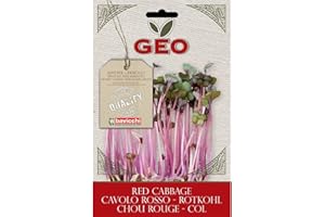 Geo Cavolo Rosso Semi da Germoglio, Marrone, 12.7x0.7x20 cm