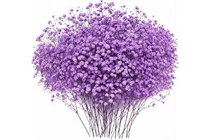100st naturtorkade purpurfärgade blommor, riktiga krysantemum | Små pressade blommor för hantverk, resin-konst, DIY, bröllops
